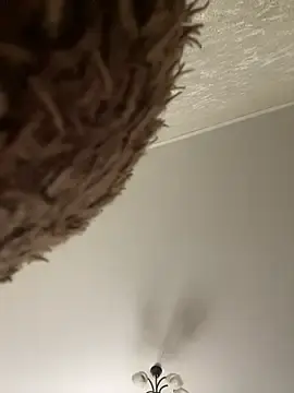 Stripchat Best Webcam of Poly_Nick