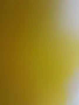 Stripchat Private Sex Chat of hotpussyxxx777