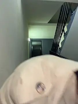 Stripchat Live Porn of ICrazyOneIRL