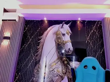 Stripchat Sex Chat of the_knights_of_the_night