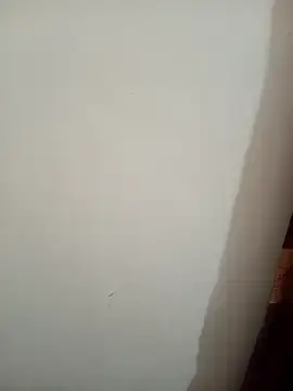 Stripchat Live Sex of Tanha18