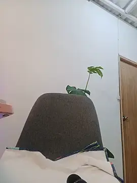 Stripchat Nude Webcam of karenarango