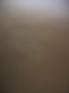 Stripchat Sex Cam of sammyqueenx21