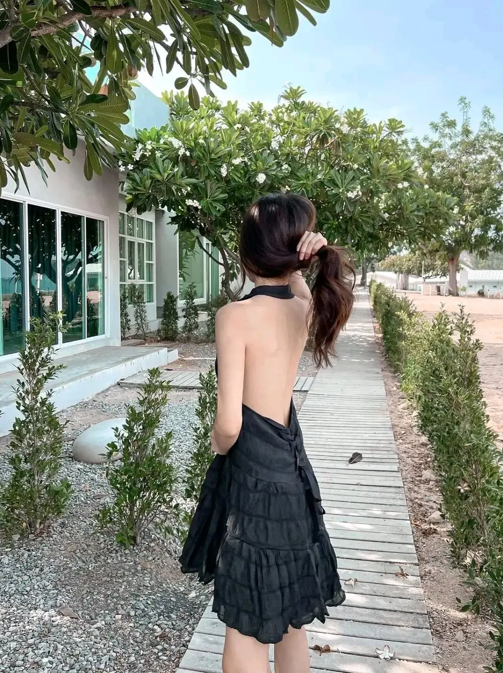 Shine_Mai