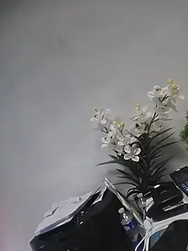 Stripchat Live Porn of Micorazonheolmiangel23