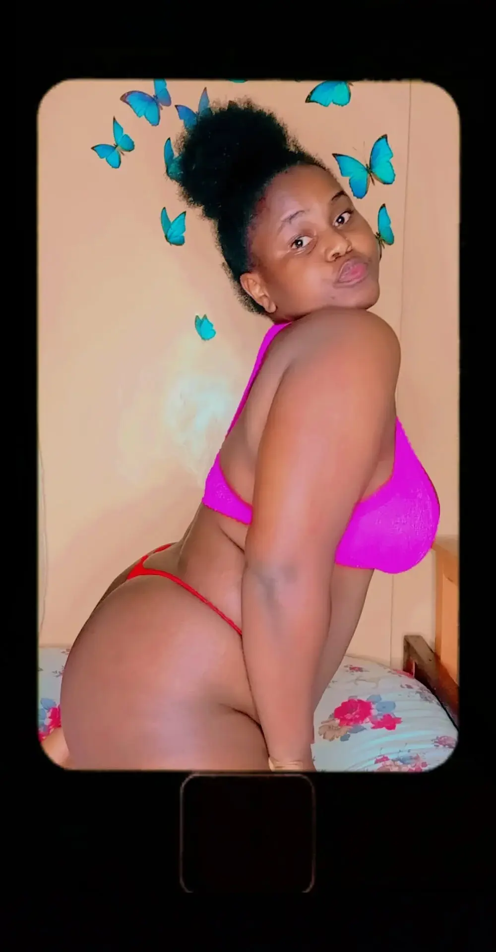 Wild_Dol