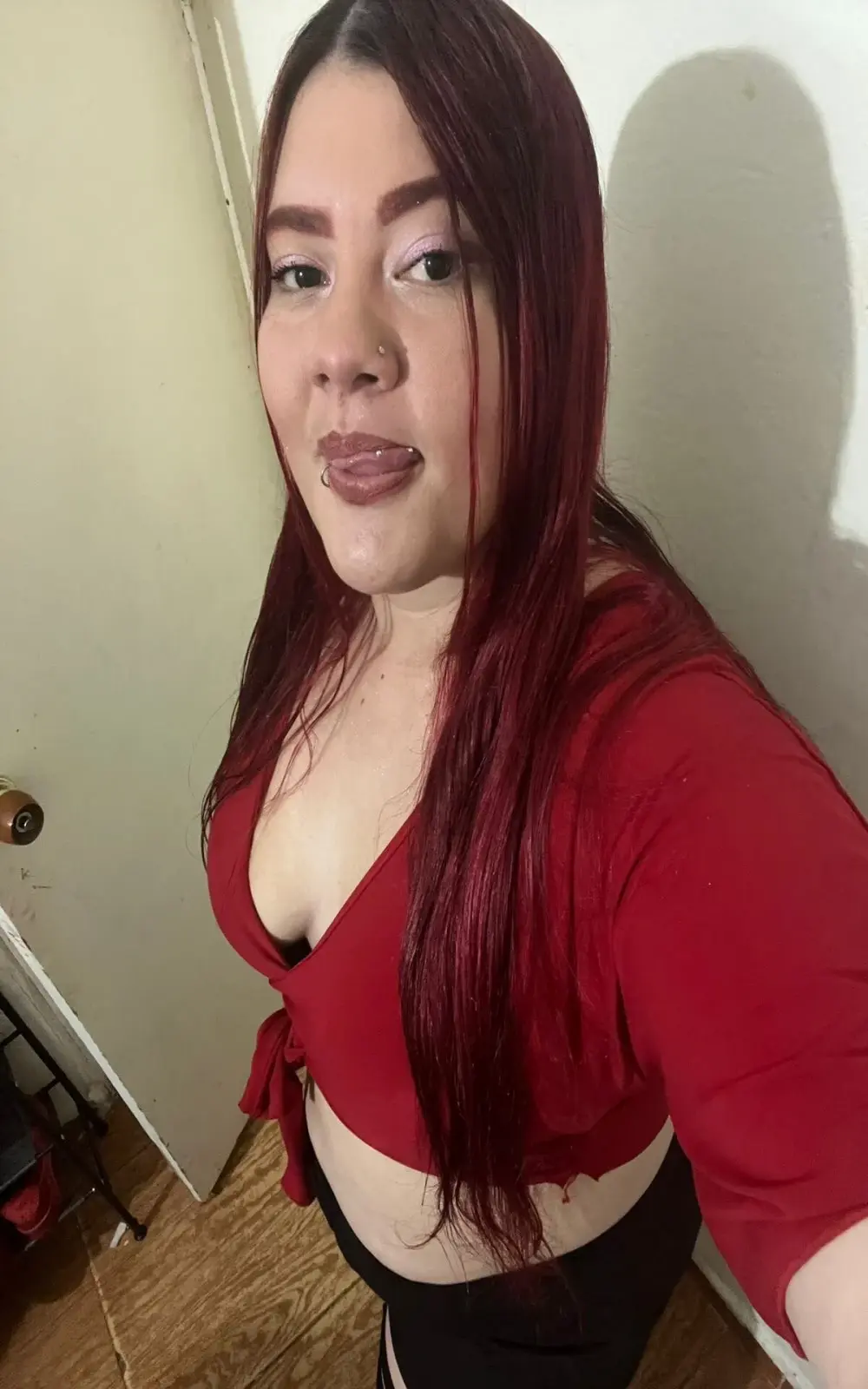 Gingerblis