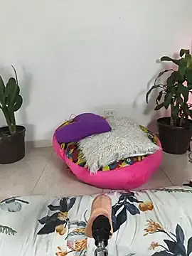 Stripchat Free Live Porn of AnnieWestley