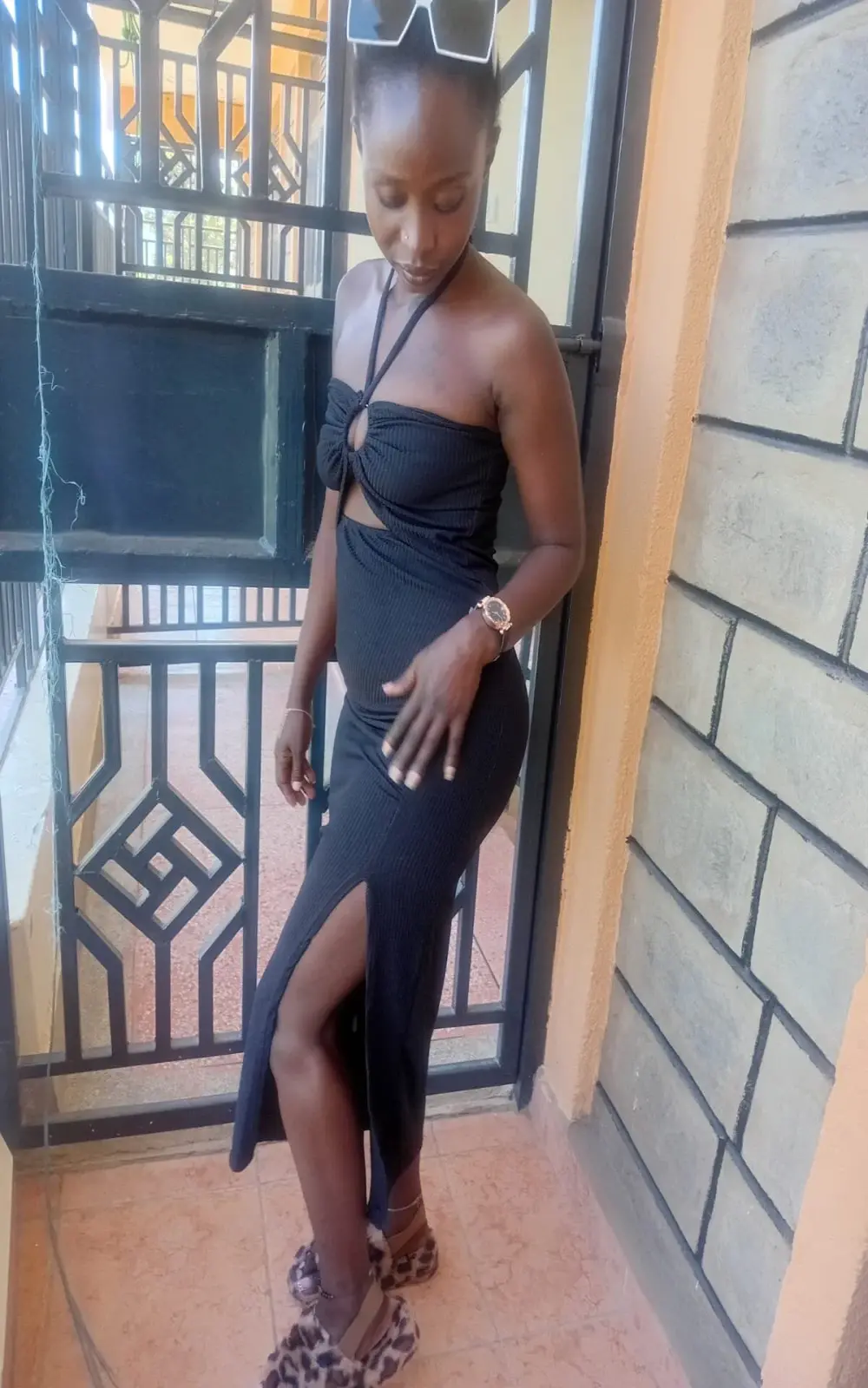 petite_diofa