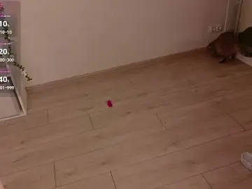 Stripchat Sex Chat of LeraKit