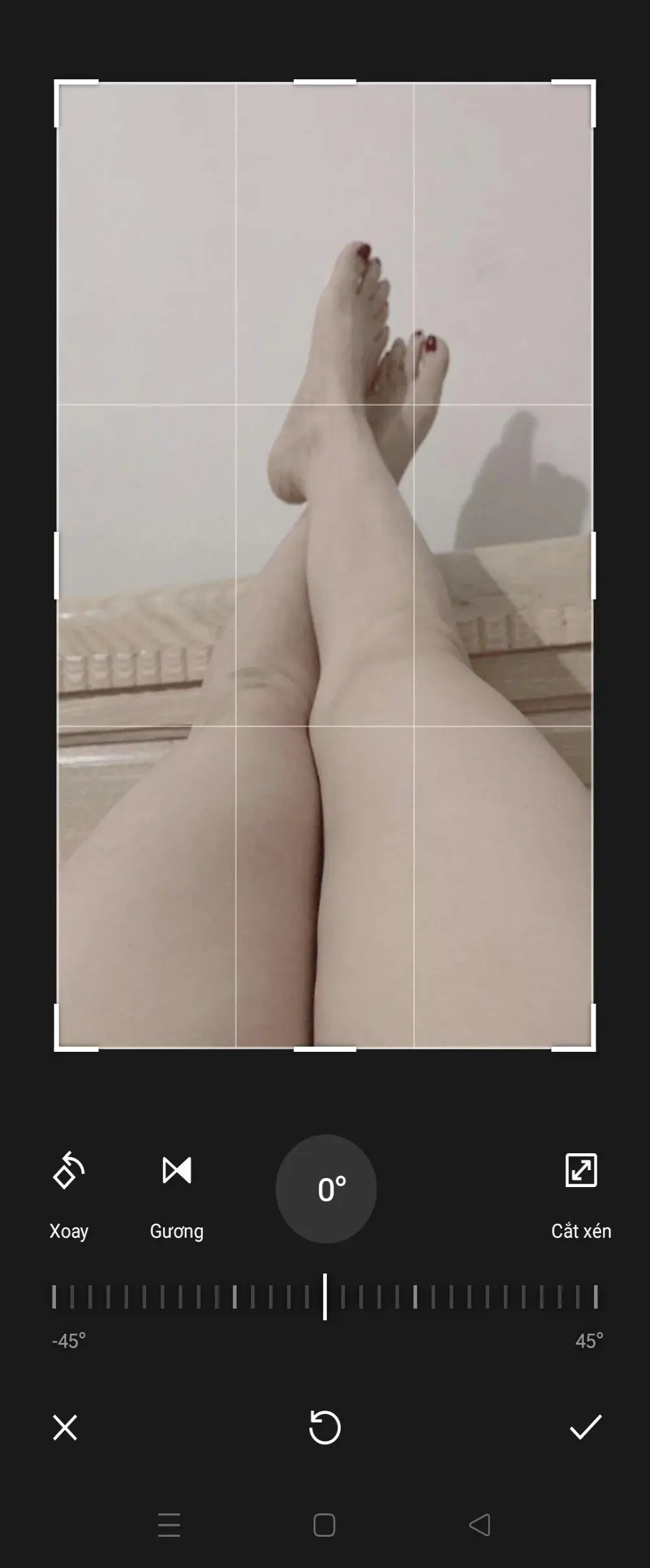 -sansan-