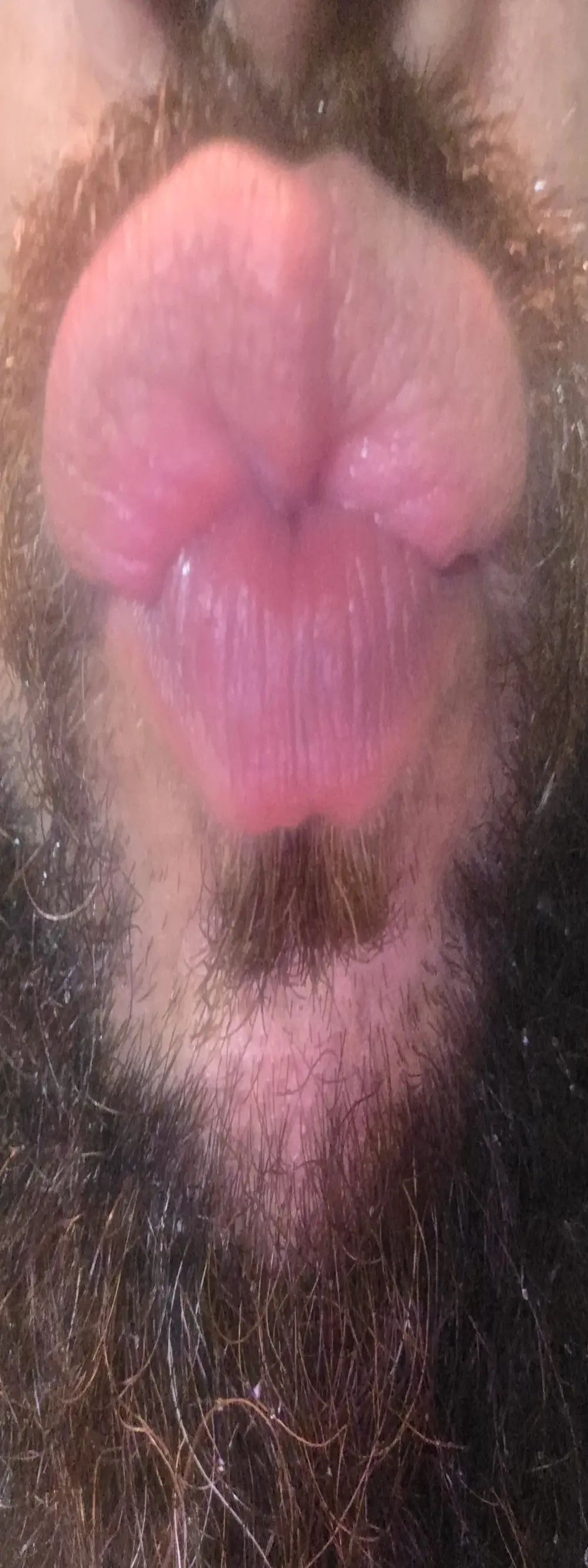 Sdaddydoah2488