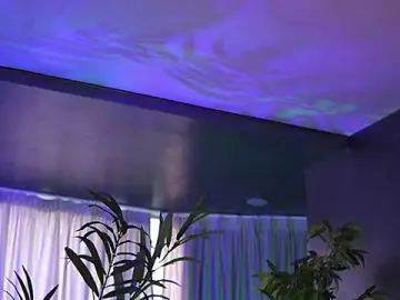 Stripchat Live Sex Cam of HotBustyBabeX