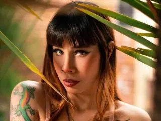 Xlovecam Free Porn Cam of AriiannaHot
